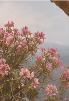 Pink Amphora Art Mail Club